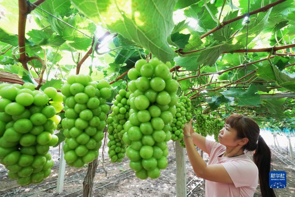 博义堂